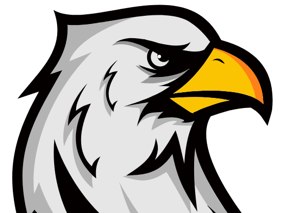footer logo eagle